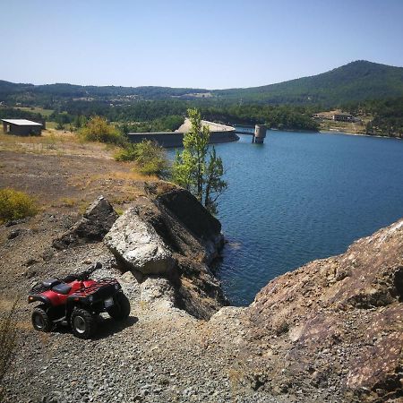 "Porodica Markovic" Borsko Jezero Beljevina Ngoại thất bức ảnh