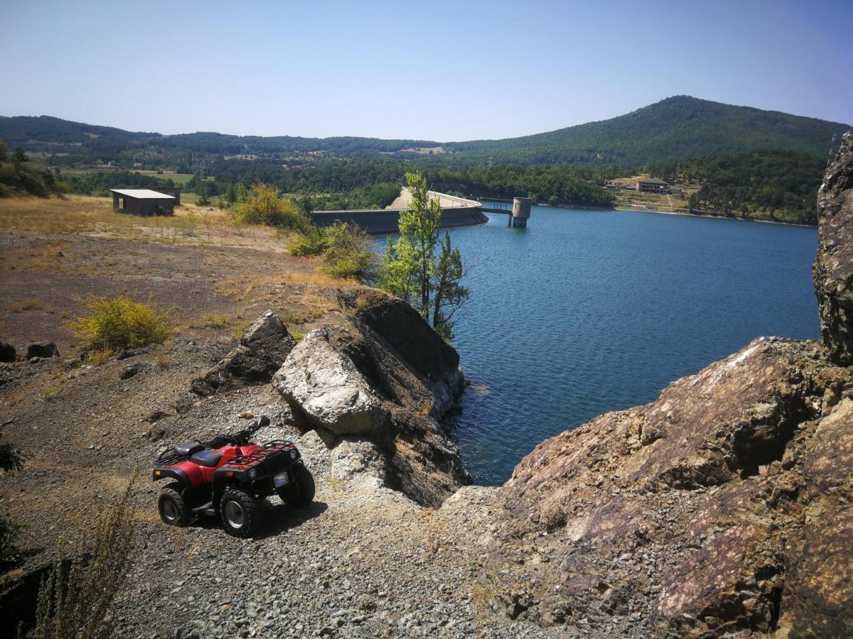 "Porodica Markovic" Borsko Jezero Beljevina Ngoại thất bức ảnh