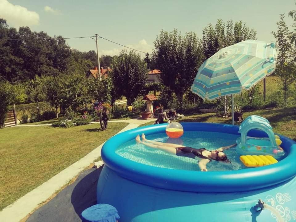 "Porodica Markovic" Borsko Jezero Beljevina Ngoại thất bức ảnh