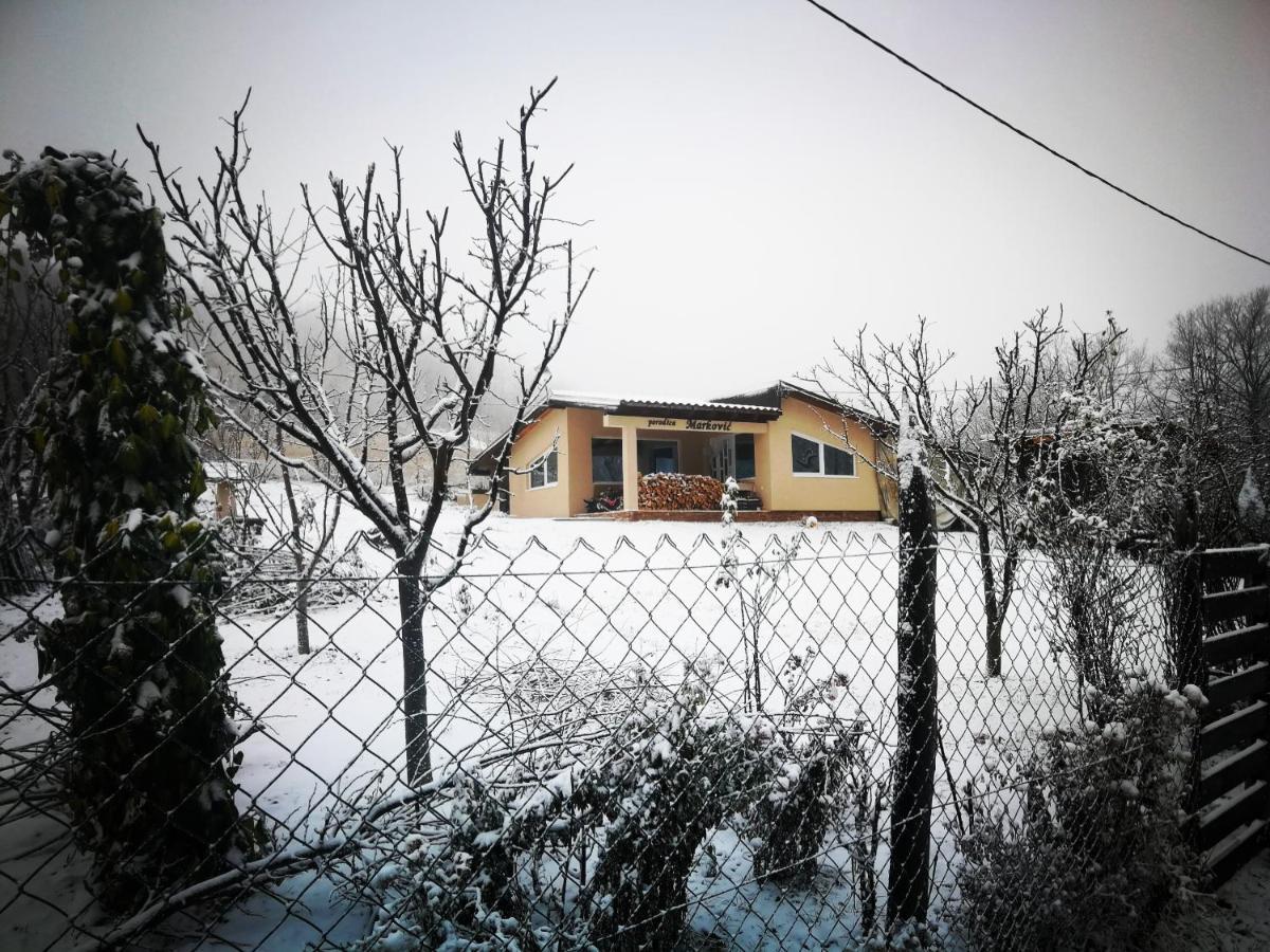 "Porodica Markovic" Borsko Jezero Beljevina Ngoại thất bức ảnh